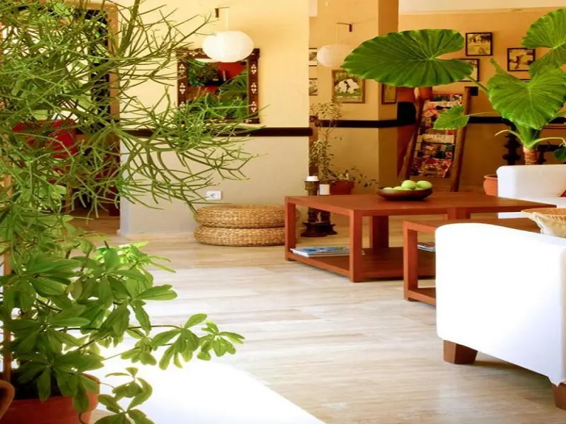 4reasons Hotel And Bistro 17