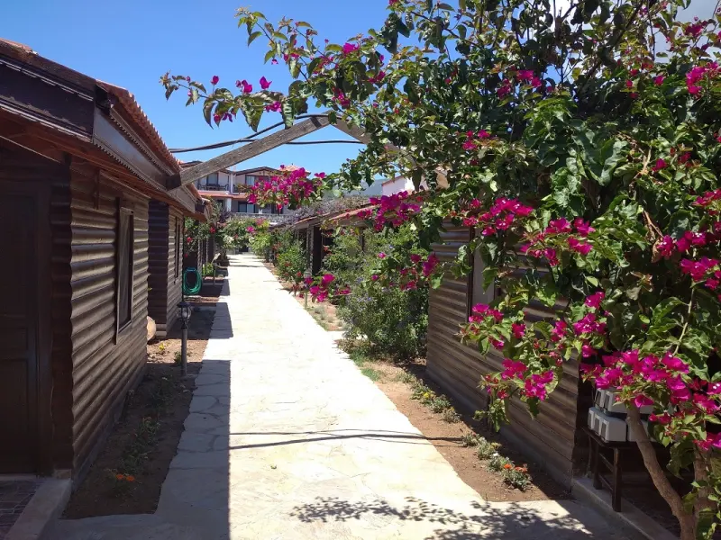 Çuhadar Datça Bungalov Evleri 3