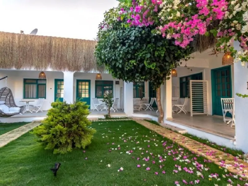 Avlu Butik Otel Palamutbükü 3