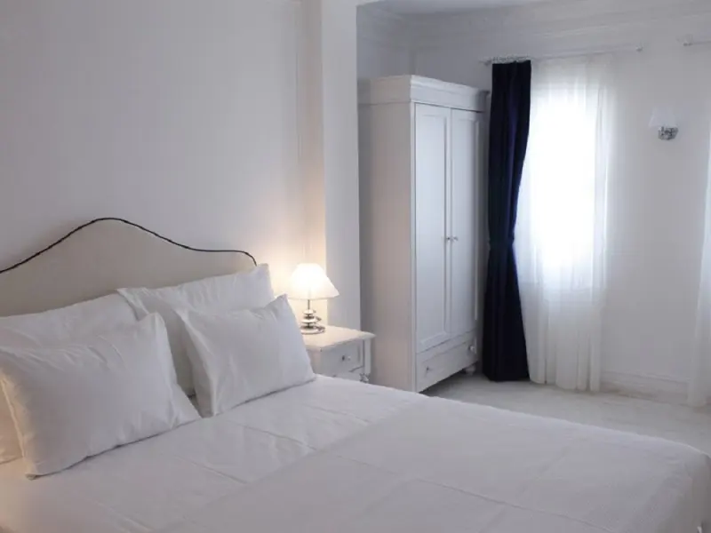 Vintage Boutique Hotel 19