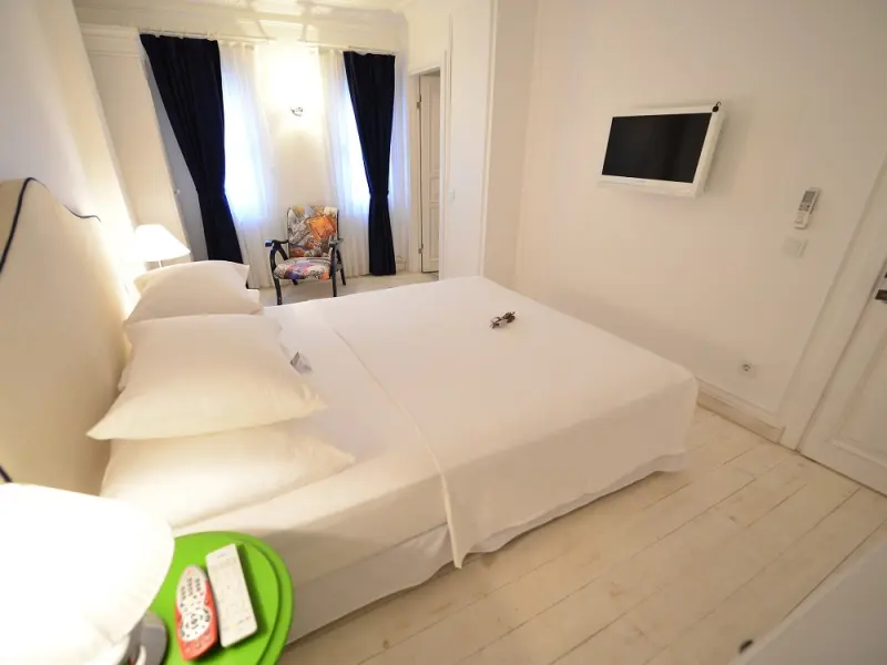 Vintage Boutique Hotel 23