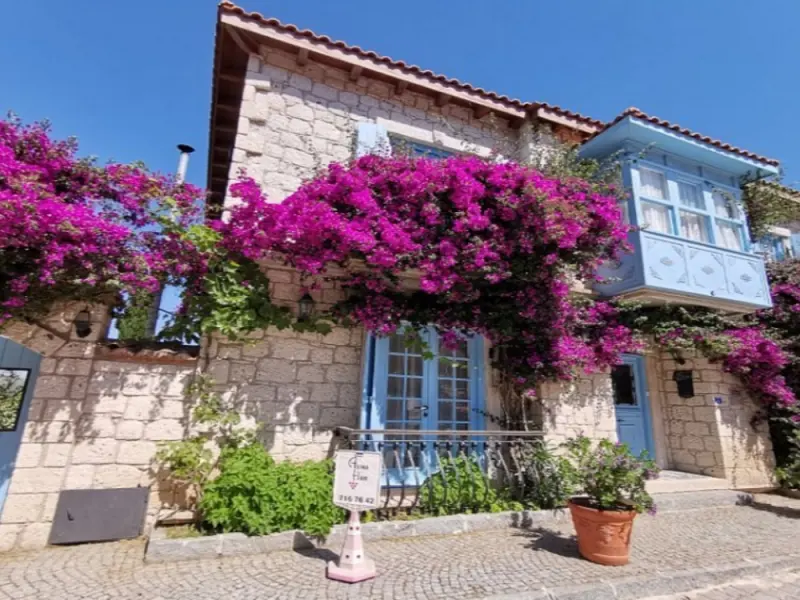 AsmaHan Otel Alaçatı 1