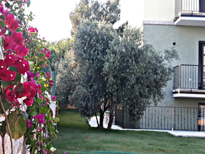 Karyada Hotel 4
