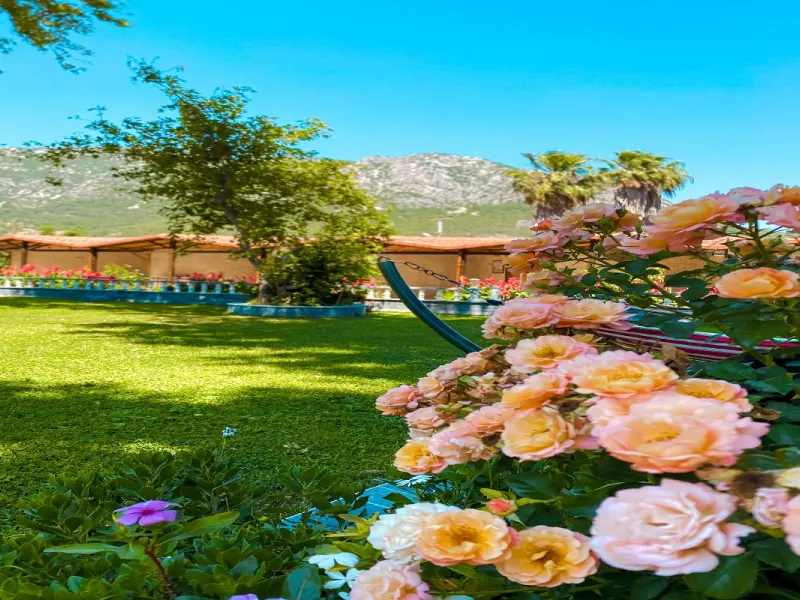 Likya Adrasan Otel 13