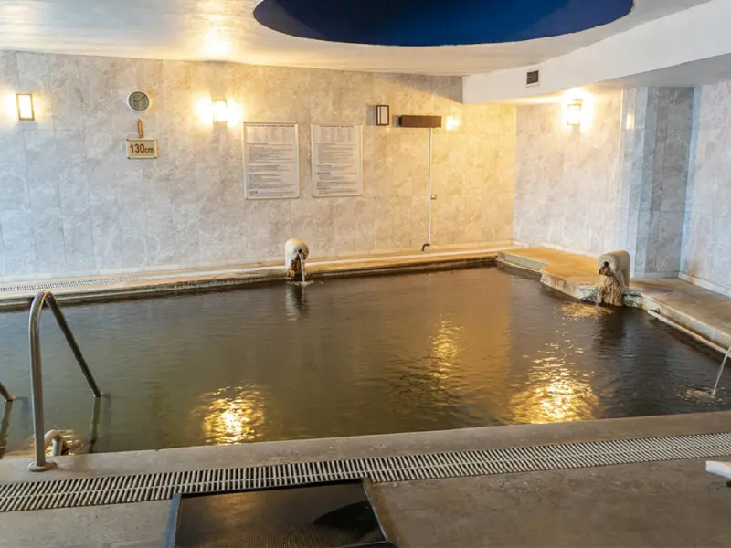 Doğa Termal Otel 25