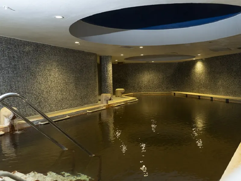 Doğa Termal Otel 26