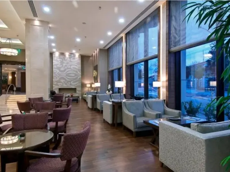 Marigold Thermal & Spa Hotel Bursa 8