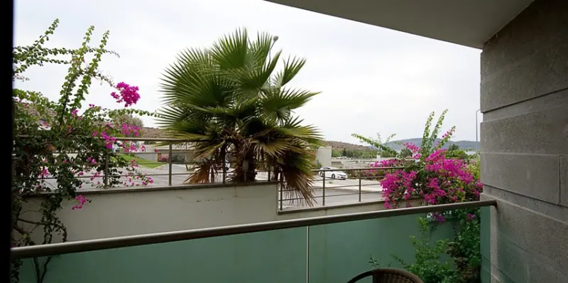 Royal Palm Residences 17