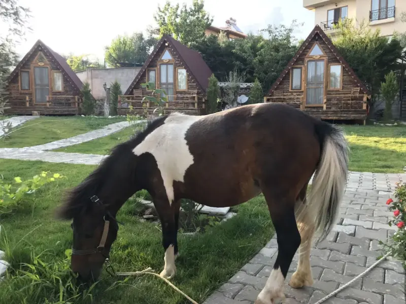 Kazdağları Bungalov Otel İda Natura Life Style 19