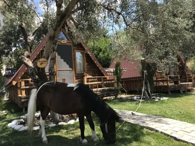 Kazdağları Bungalov Otel İda Natura Life Style 8