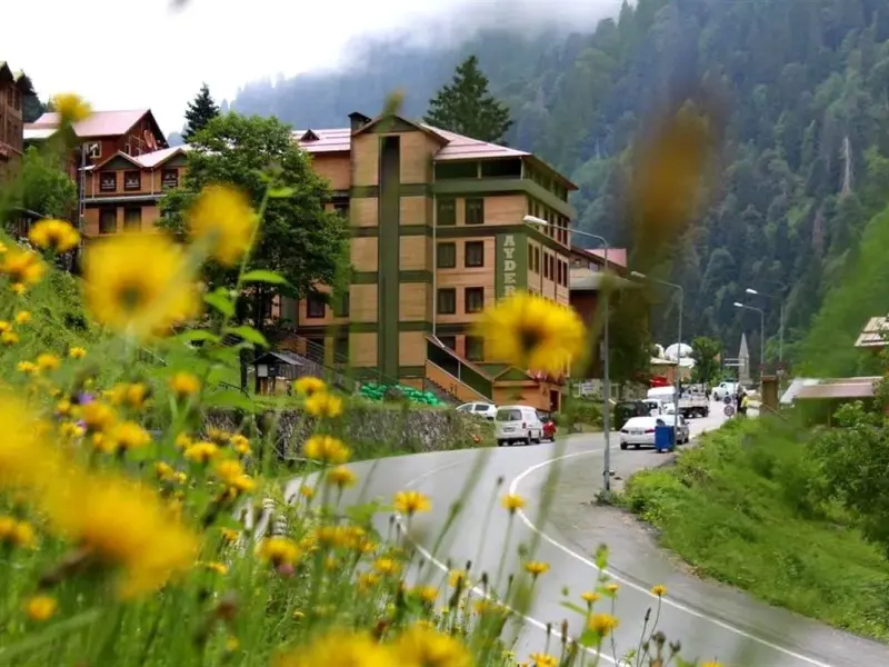 Ayder Doga Resort Otel 1
