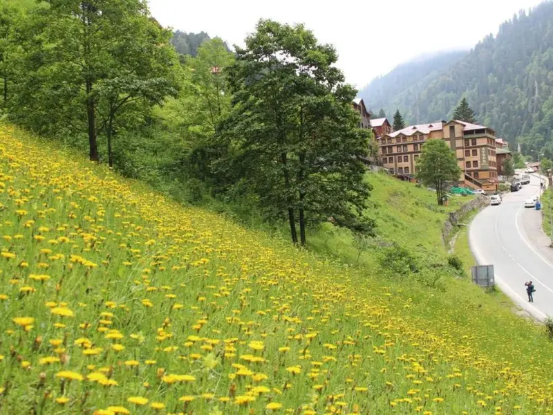 Ayder Doga Resort Otel 5