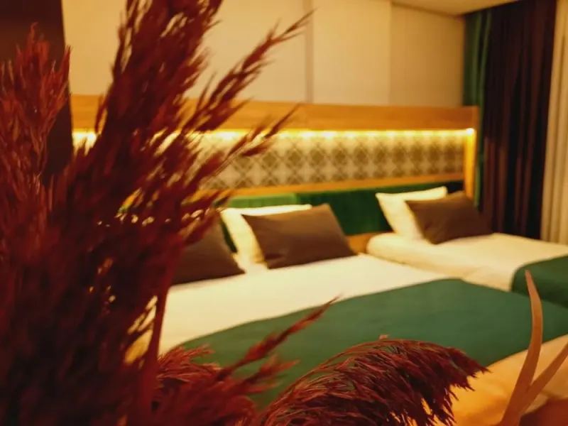 Dinamik Otel Sarıkamış 15