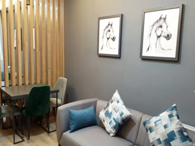 Dinamik Otel Sarıkamış 18