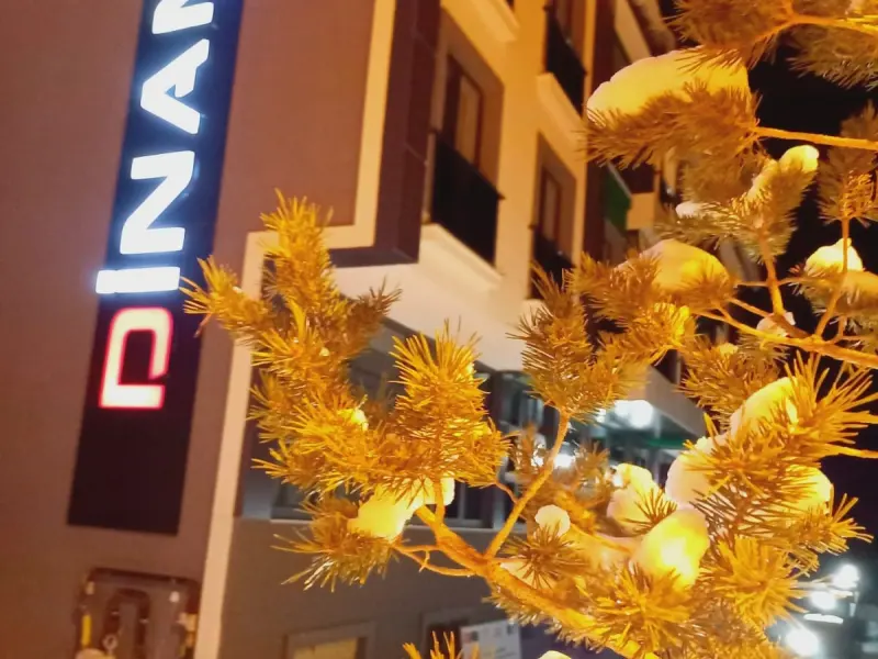 Dinamik Otel Sarıkamış 20