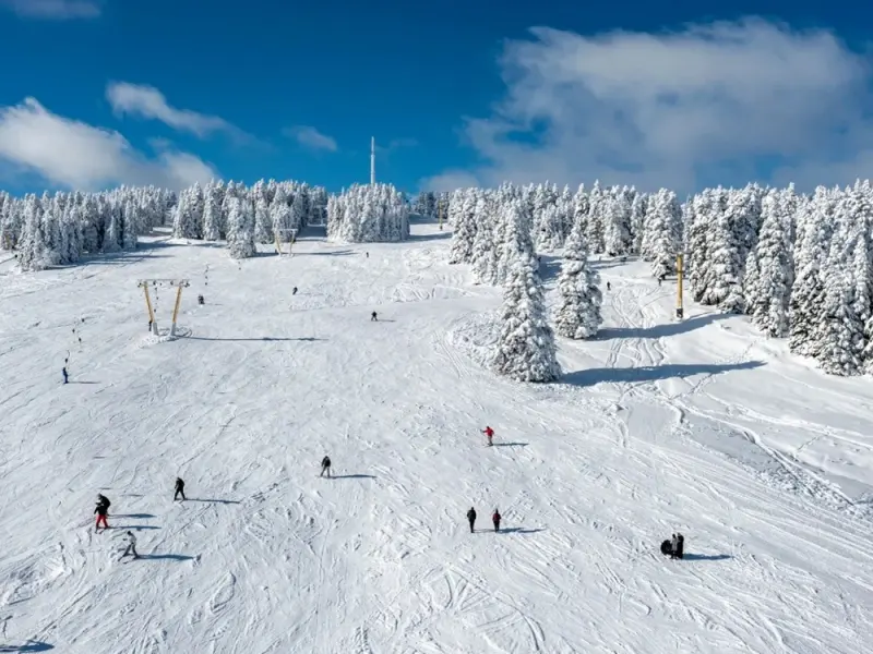 Erta Soyak Otel Uludag 4