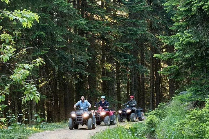 Ilgaz Mountain Resort Hotel 8