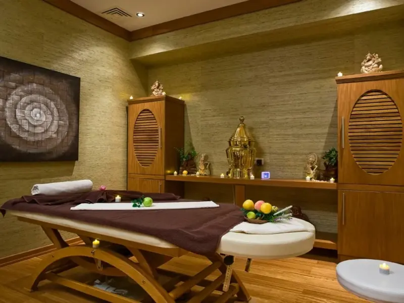 Jura Hotels Afyon Thermal Spa & Convention Center 23