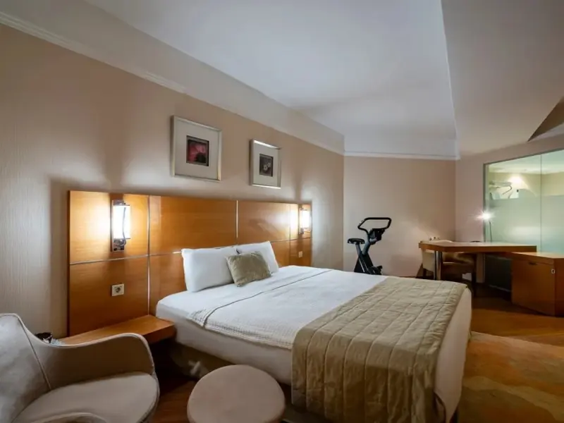 Jura Hotels Afyon Thermal Spa & Convention Center 6