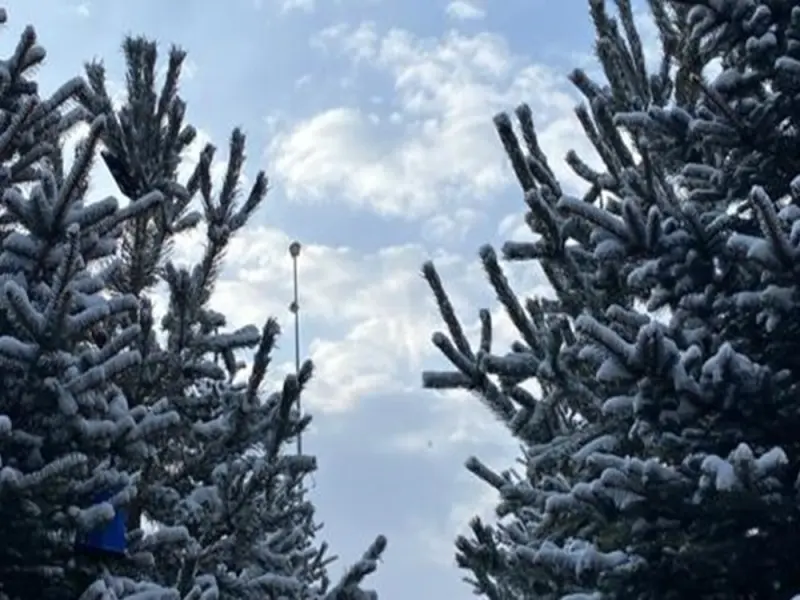 Snow Life Otel Sarikamis 18