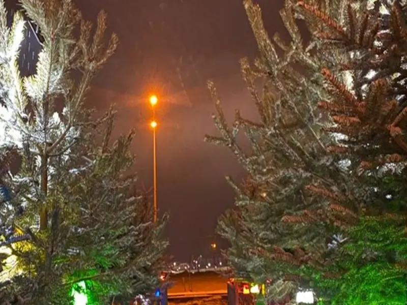Snow Life Otel Sarikamis 4