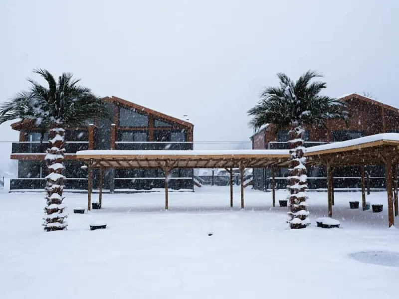 Abant Sedir Park 5