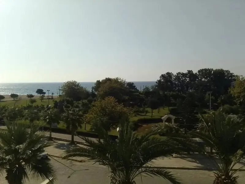 Anemonia Otel 4