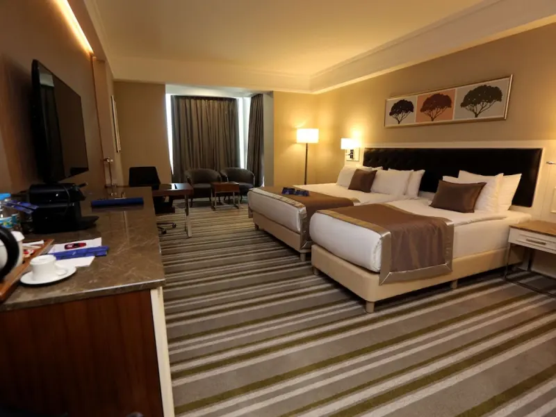 Radisson Blu Hotel Diyarbakır 10