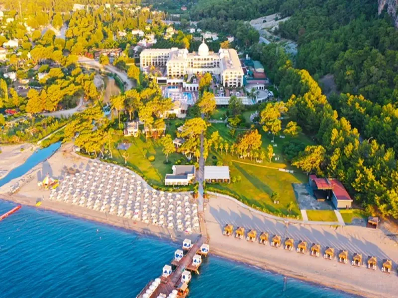 Juju Premier Palace 55