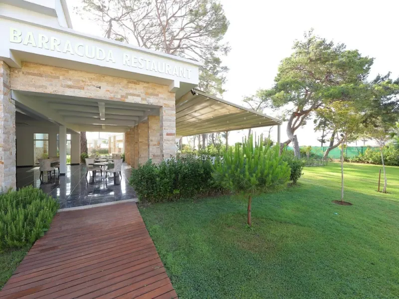 Juju Premier Palace 59