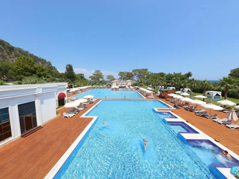 Juju Premier Palace 74