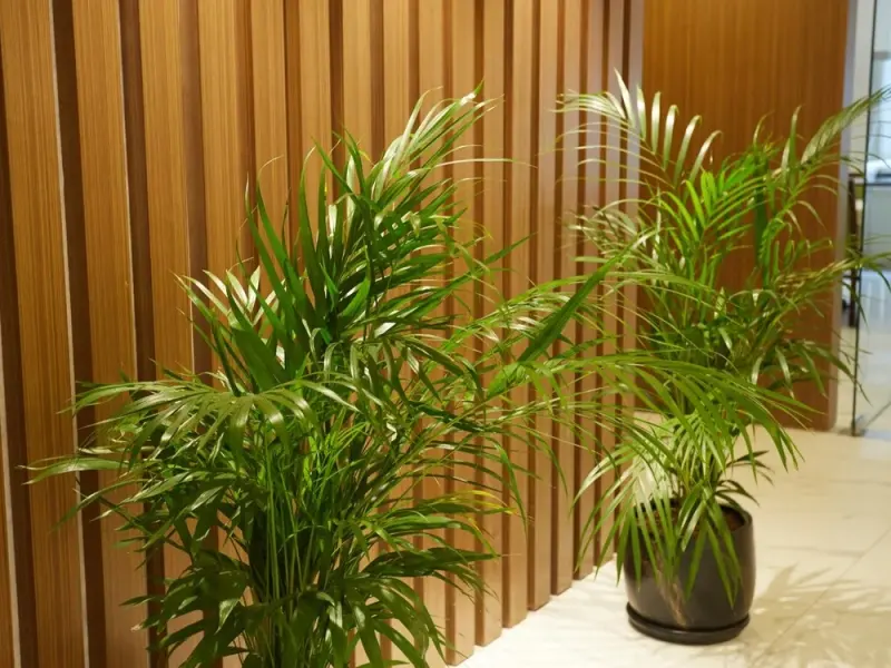 Mira Otel Alsancak 6