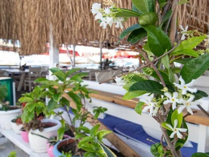İmaj Beach & Hotel 19