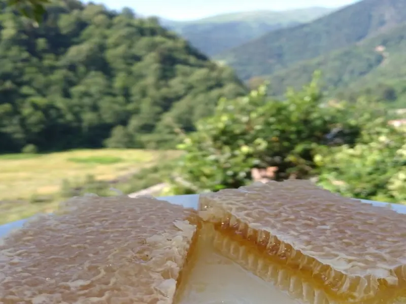 Ladin Dağ Evi 11