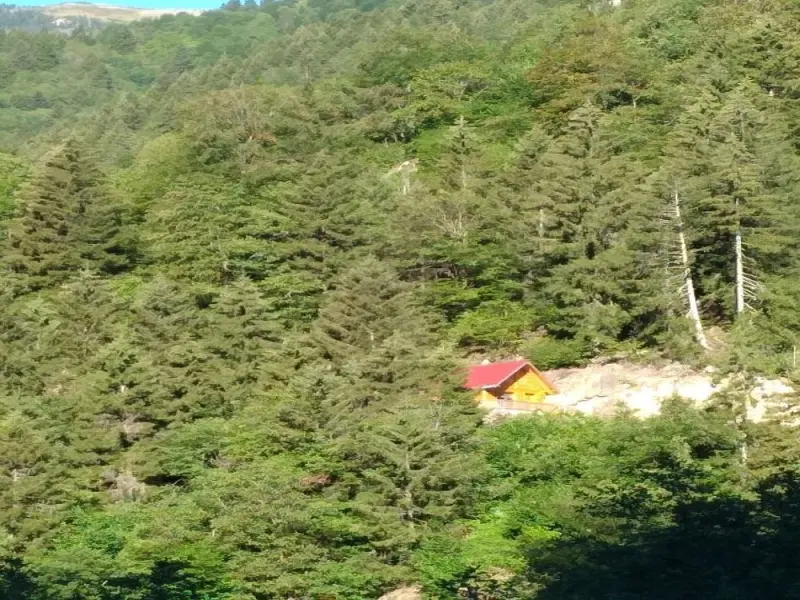 Ladin Dağ Evi 5