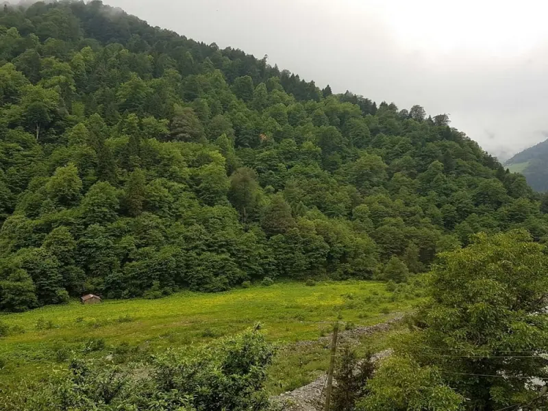 Ladin Dağ Evi 6