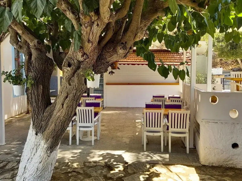 Hotel Tropicana Datca 4