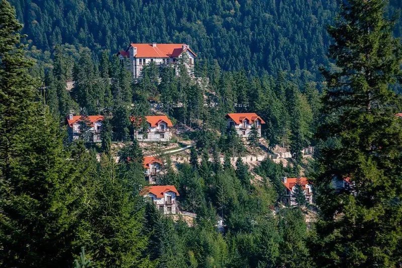 Foleya Mountain Resort 22