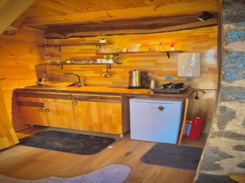 Dogallife Suit Bungalov 14