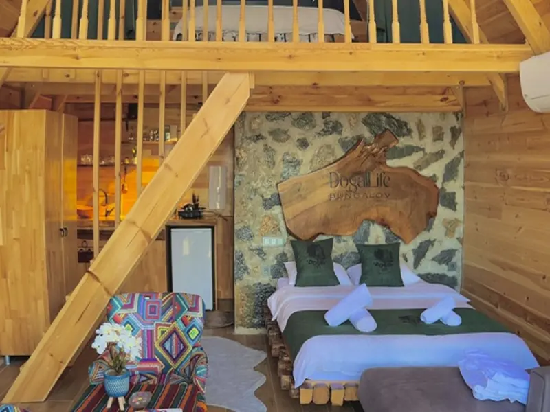 Dogallife Suit Bungalov 16