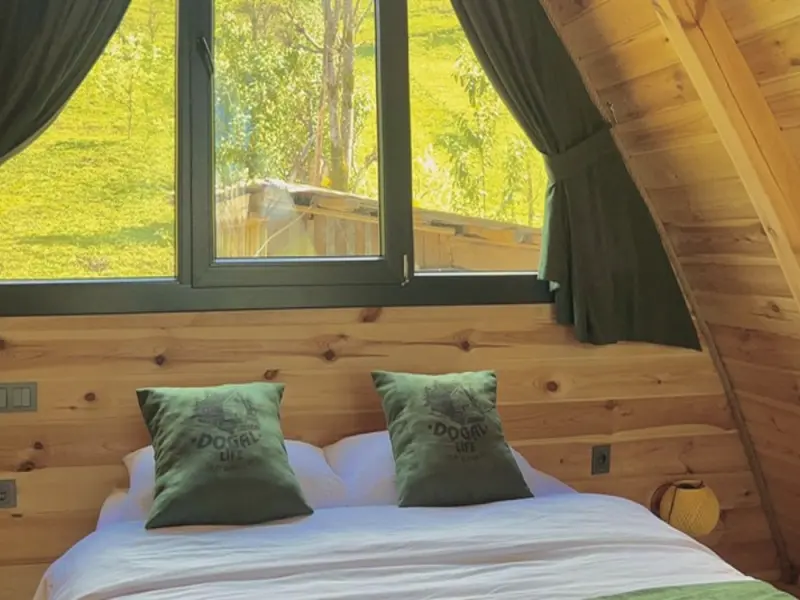 Dogallife Suit Bungalov 17