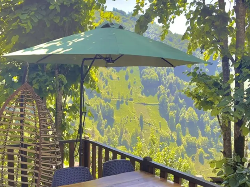 Dogallife Suit Bungalov 7
