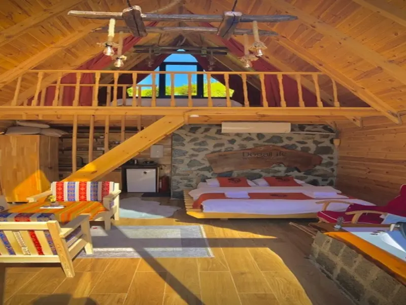 Dogallife Suit Bungalov 9