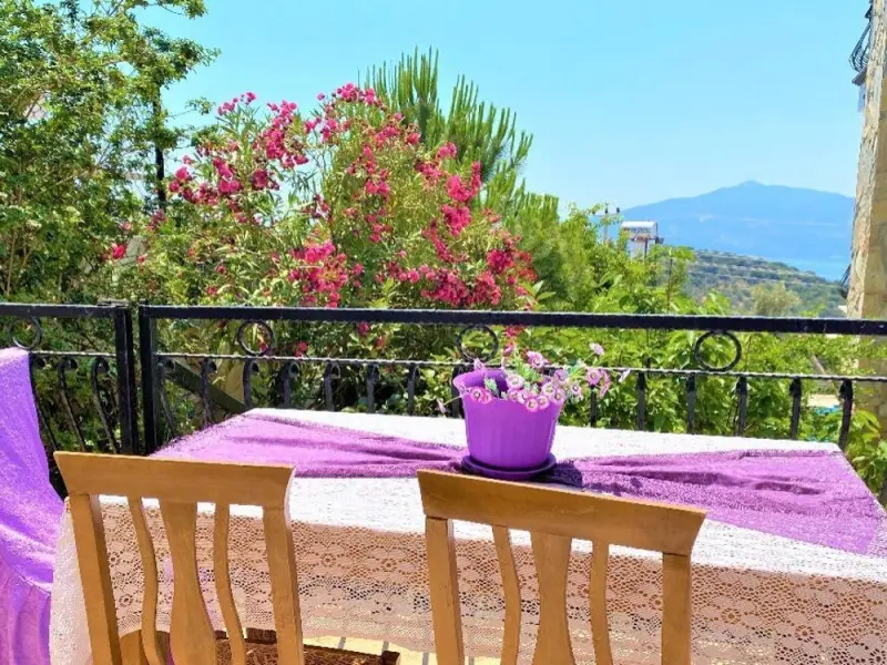 Apart Villa Asoa 4