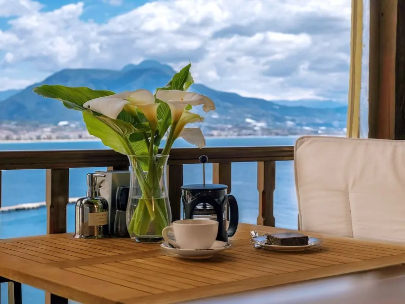 Hotel Villa Turka 4