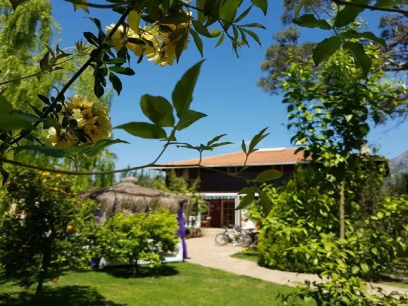 Club Sun Village 16