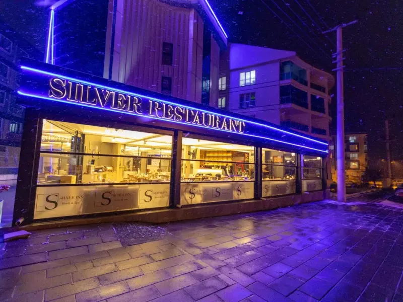 Silver Inn Hotel Spa 3
