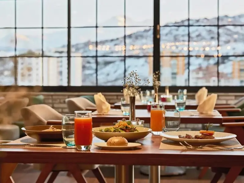 Dedeman Kayseri 22