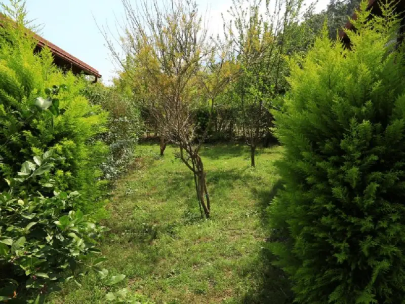 Cirali Villa Zeytin 11