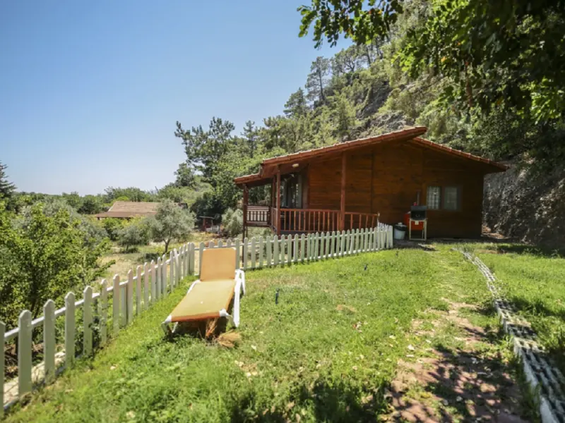 Cirali Villa Zeytin 12